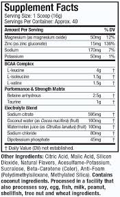 AMINO BUILD 40 SERVINGS BY MUSCLETECH