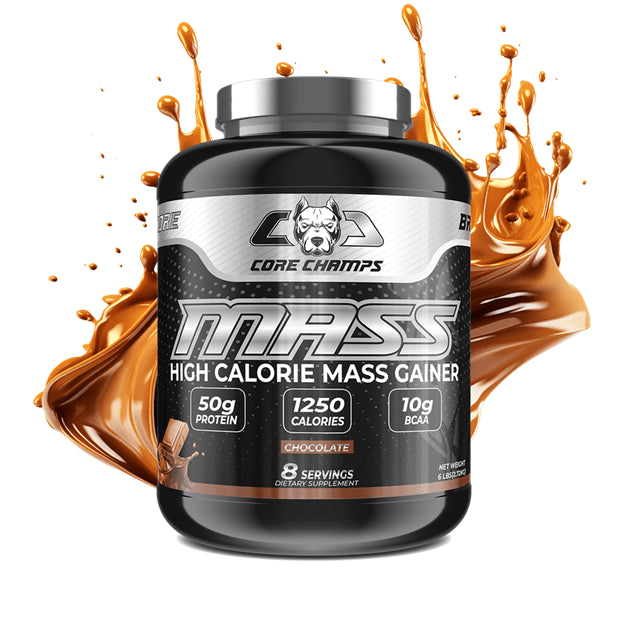 CORE CHAMP GAINER 6LBS BY CORE CHAMP